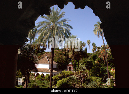 View of Alcazar Palace & gardens Palacio de Don Pedro Sevilla Seville Andalusia Andalucía España Spain Iberia Europe Stock Photo