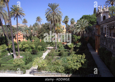 View of Alcazar Palace & gardens Palacio de Don Pedro Sevilla Seville Andalusia Andalucía España Spain Iberia Europe Stock Photo