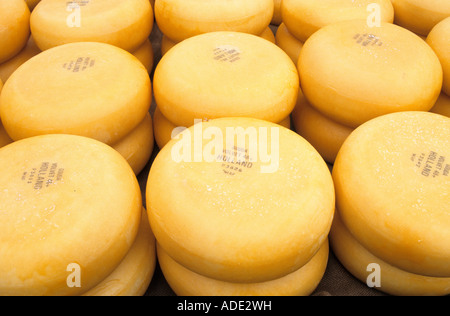 Cheese at the cheese market in Alkmaar Holland Europe Stock Photo