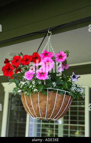 Hanging baskets on front porch of home Stock Photo