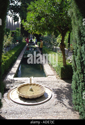 View of Alhambra Palace & Alcazaba fortress Granada Andalusia Andalucía España Spain Iberia Europe Stock Photo