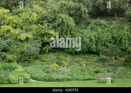 Area of Highdown Gardens, Worthing, West Sussex. The garden is built on chalky soil Stock Photo