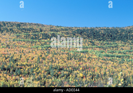 These mountains and ridges are the tail end of the Appalachian Mountains which start in the United States and end in Canada Stock Photo