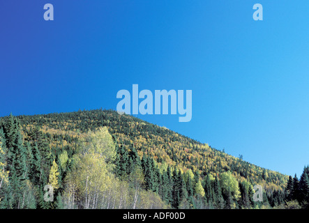 These mountains and ridges are the tail end of the Appalachian Mountains which start in the United States and end in Canada Stock Photo