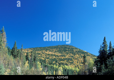 These mountains and ridges are the tail end of the Appalachian Mountains which start in the United States and end in Canada Stock Photo