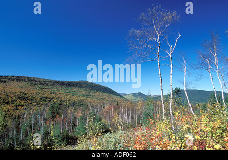 These mountains and ridges are the tail end of the Appalachian Mountains which start in the United States and end in Canada Stock Photo