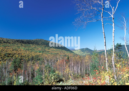 These mountains and ridges are the tail end of the Appalachian Mountains which start in the United States and end in Canada Stock Photo