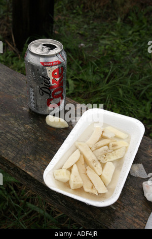 Can of diet coke and plastic tray of chips full of water after heavy rain Stock Photo