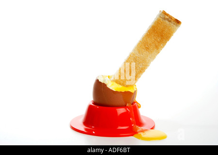 A boiled egg in bright red egg cup holder with toast soldier sticking into top of egg against white background. Stock Photo