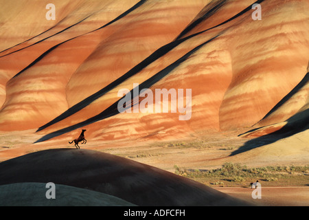 Horses at John Day Fossil Beds National Monument Oregon Stock Photo