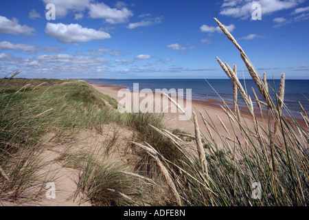 Balmedie Beach near the sand dunes of Menie, Aberdeen, Scotland, UK Stock Photo