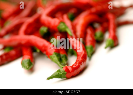 Capsicum annuum Italy Stock Photo