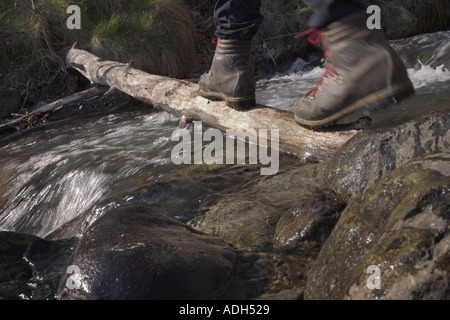 Man Crosses Log Over Stream Rainbow Creek Digital AK SC Stock Photo