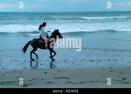 Woman riding horse on beach windy, horseriding alone Stock Photo - Alamy