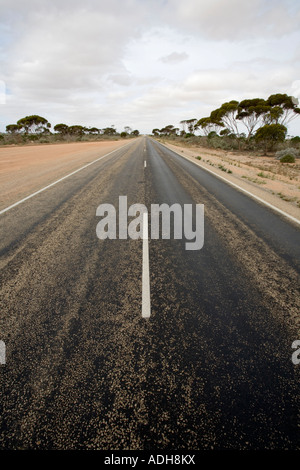 Longest straight stretch of road in Australia National Highway 1 between Belladonia and Caiguna Western Australia WA Stock Photo