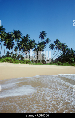 A beach on Sri Lanka s west coast near Bentota Stock Photo