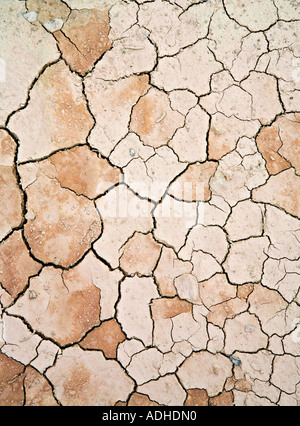Dried cracked mud in drought Wales UK Stock Photo