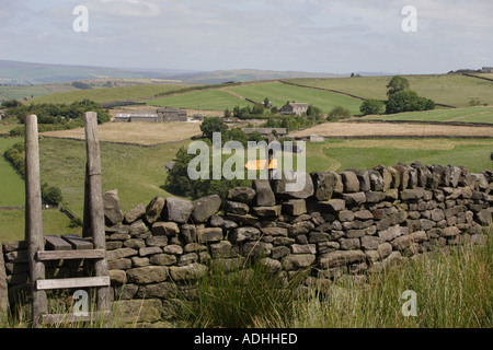Ladder Stile over dry stone wall on the Pennine Way Stock Photo