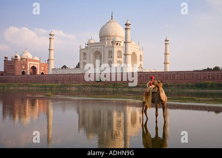 Taj Mahal with a young boy riding a camel as seen from across the Yamuna River in Agra India Stock Photo