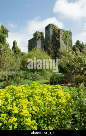 The ruins of the 14th C. Castle Kennedy near Stranraer in the Dumfries and Galloway region of Scotland, UK Stock Photo