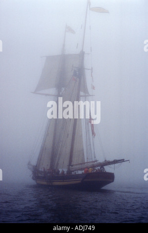 Tall ship flying an American flag in deep fog in the Bay of Fundy New Brunswick Canada Stock Photo