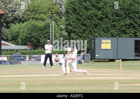 Village Cricket Stock Photo