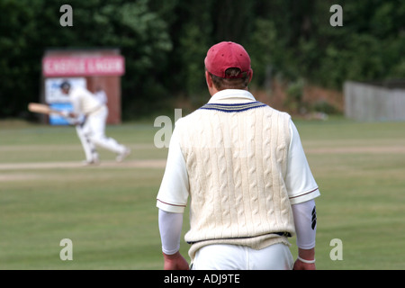 Cricket Fielder Stock Photo