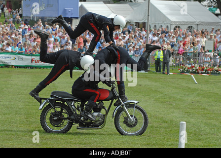 White Helmets Motorcycle Display Team Shrewsbury Flower Show Shropshire UK Stock Photo