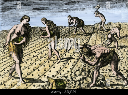 Native Americans using fishbone hoes to plant maize and beans in Florida 1500s. Hand-colored woodcut of a DeBry engraving Stock Photo