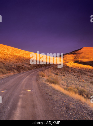 Road in meadow grass Near Jorden Valley Oregon Stock Photo