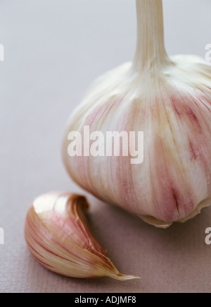 Garlic clove and bulb on pale background Stock Photo