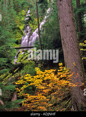 Upper Proxy Falls with fall color Three Sisters Wilderness Willamette National Forest Oregon Stock Photo