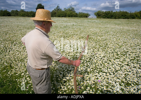 Old Time Farmer & Sythe Chilterns UK Stock Photo