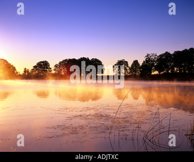 Back bay on fern Ridge Reservoir with sunrise Oregon Stock Photo