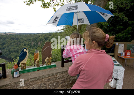 Mother and child watching peregrine falcons at Symonds Yat Rock in the Forest of Dean UK Stock Photo