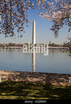 Cherry Blossom Festival, Washington DC, USA at Tidal Basin and Washington Monument Stock Photo