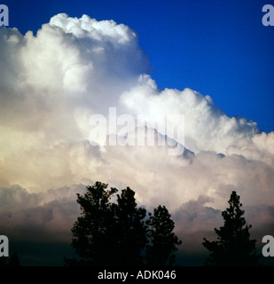 Huge thunderhead cloud fills the sky at sunset in Oregon Stock Photo