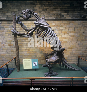 Extinct mammal - Megatherium Americanum. Giant ground sloth lived in