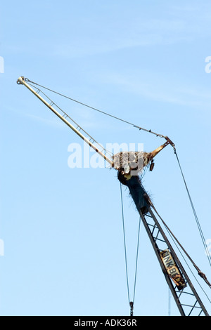 Old, Rusted Crane Boom with Hook on the end of a Cable Stock Photo