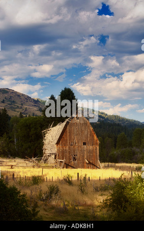 Old barn on Speropolus Ranch Payette National Forest Idaho Stock Photo