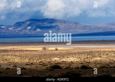 Lone trees and storm Black Rock Desert National Conservation Area Nevada Stock Photo