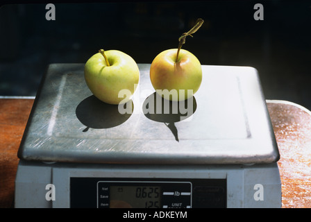 Apples on a kitchen scale Stock Photo - Alamy