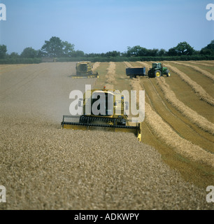 Two New Holland combines harvesting wheat crop Hampshire Stock Photo