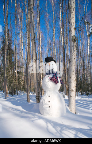 Snowman in top hat scarf deep in birch forest interior Alaska Winter Stock Photo