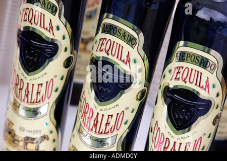 Tequila bottles for sale at the Chili Fiesta at West Dean in West Sussex Stock Photo