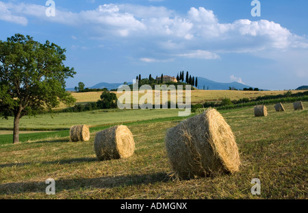 Belvedere farmhouse near San Quirico d Orcia in Tuscany Italy Stock Photo