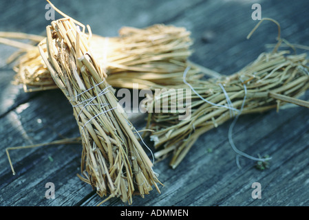 Bundles of dried stems Stock Photo