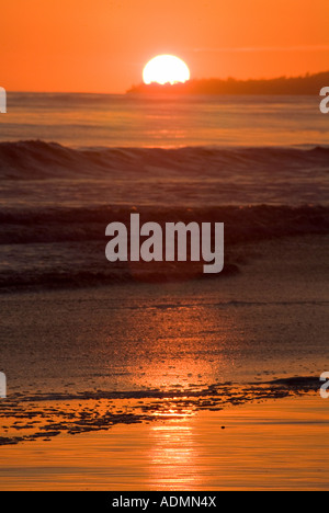 Vibrant sunset on beach Stock Photo