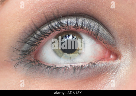 Extreme close up of womans eye with dramatic make up Stock Photo