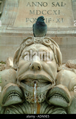 A pigeon sits on top of a statue in the fountain by the Pantheon Rome Italy Stock Photo